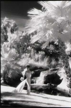 Jon Lee Kern Photography