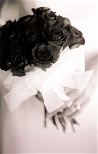 Gina Munda Photography